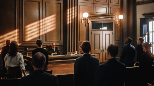 Complex Entertainment Litigation Lawyer