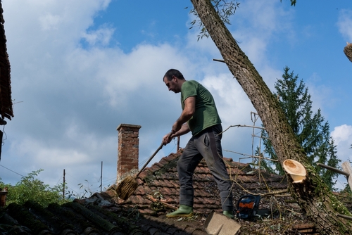 Man Cleaning Roof After Storm Tree Damage