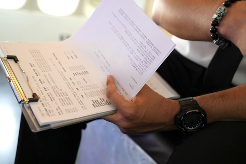 Pilot Reviewing FAA Flight Documentation and Reports Pilot Reviewing FAA Flight Documentation and Reports