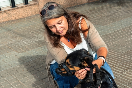 In Need of Dog Bite Lawyer in Aurora Illinois In Need of Dog Bite Lawyer in Aurora Illinois