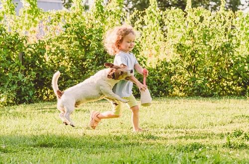 Child running on grass while dog jumps and bites arm outdoors