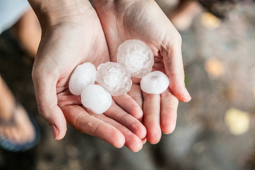 Large Hail in Hands Houston Hail Damage Claim Hands holding several large hailstones against stormy outdoor background